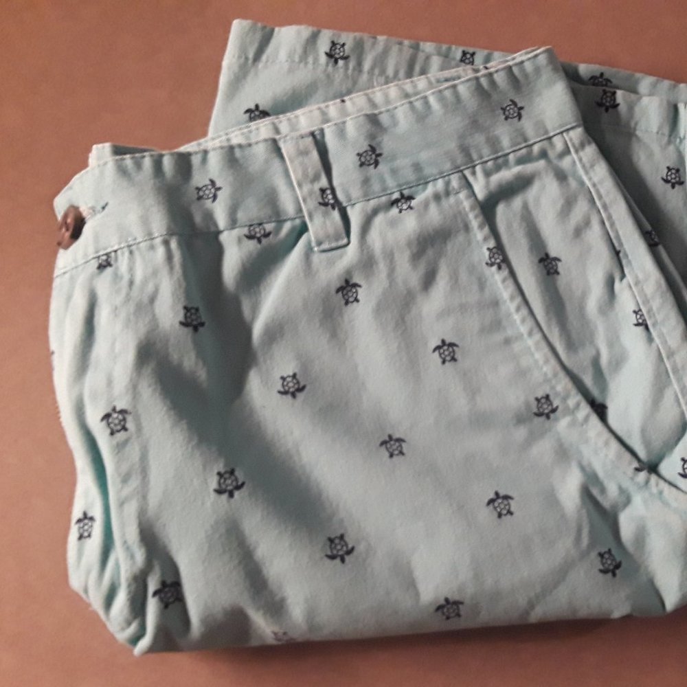 Mens Blue Shorts with Turtles